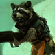 Illustration for article titled CospLAZY: Im Making Rocket Raccoon